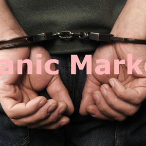 Handcuff Key HK2 Tiny Inconspicuous Concealed Emergency TIHK USA Only UPGRADED !